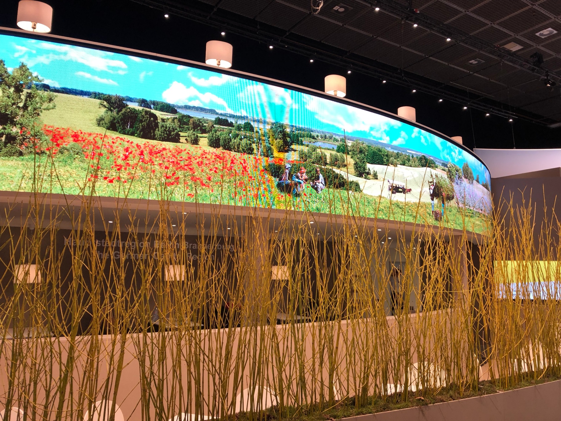Capital Region Berlin-Brandenburg – Curved LED-Wall
